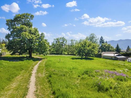 924 Devon Street, Creston, BC - Outdoor With View