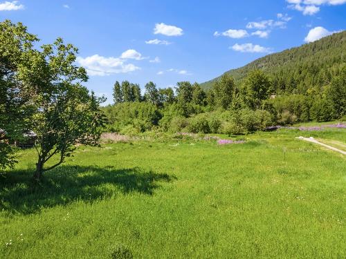 924 Devon Street, Creston, BC - Outdoor With View