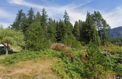 468 Chamiss Cres  Gold River, BC V0P 1G0