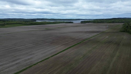 Overall view - 294 7E-Et-8E Rang O., Latulipe-Et-Gaboury, QC 