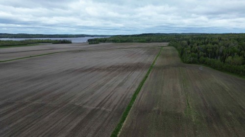 Overall view - 294 7E-Et-8E Rang O., Latulipe-Et-Gaboury, QC 