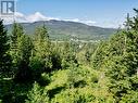 Lot 1 Tatlow Road Se Unit# Ph Ii, Salmon Arm, BC 
