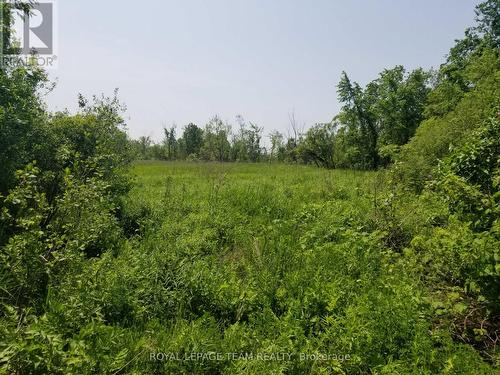 Access on North side of land from City Road. - 0000 Scrivens Drive S, Ottawa, ON 