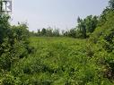 Access on North side of land from City Road. - 0000 Scrivens Drive S, Ottawa, ON 