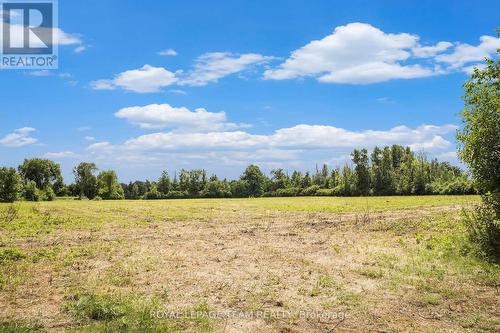 Off Scrivens Dr-Beans now planted - 0000 Scrivens Drive S, Ottawa, ON 