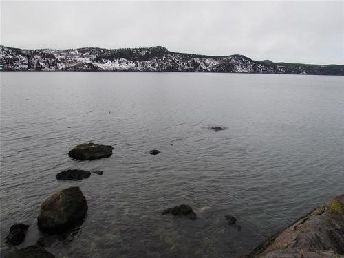 43 Cove Road, Colliers, NL 