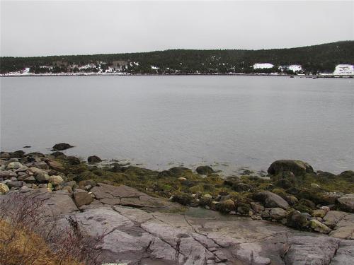 43 Cove Road, Colliers, NL 