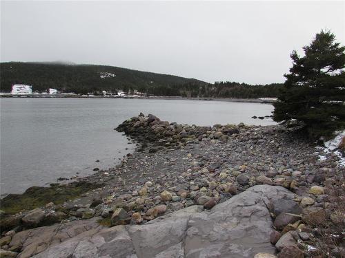 43 Cove Road, Colliers, NL 