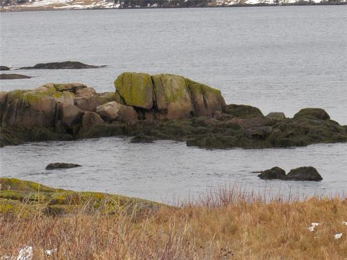 43 Cove Road, Colliers, NL 