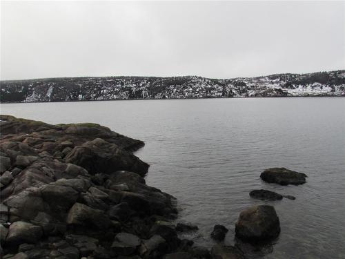 43 Cove Road, Colliers, NL 