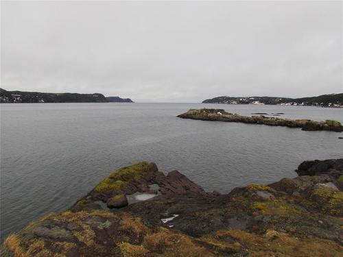 43 Cove Road, Colliers, NL 