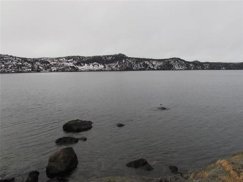 43 Cove Road, Colliers, NL 