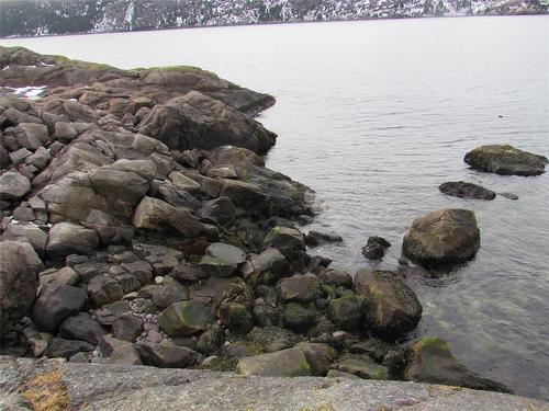 43 Cove Road, Colliers, NL 