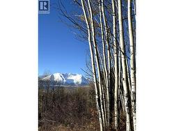 9410 ADAMS ROAD  Smithers, BC V0J 2N0