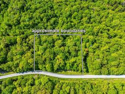 Lot 2 Chemin Theriault Point Road  Belliveaus Cove, NS B0W 1M0