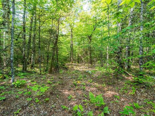 Lot 2 Chemin Theriault Point Road, Belliveaus Cove, NS 