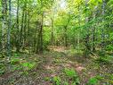 Lot 2 Chemin Theriault Point Road, Belliveaus Cove, NS 