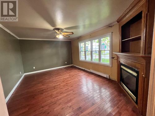 4 Morley Drive, Placentia, NL - Indoor Photo Showing Other Room With Fireplace