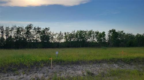 10 0 Strollway Avenue, Winnipeg Beach, MB 