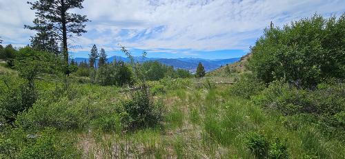 389 Chapman Road, Osoyoos, BC 