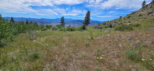 389 Chapman Road, Osoyoos, BC 