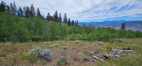 389 Chapman Road, Osoyoos, BC 