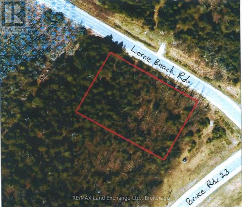 Aerial View before tree removal - 3 Lorne Beach Road, Kincardine, ON 