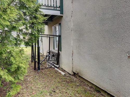 Backyard - 106 Rue Rustico N., Saint-Alexis-De-Matapédia, QC - Outdoor