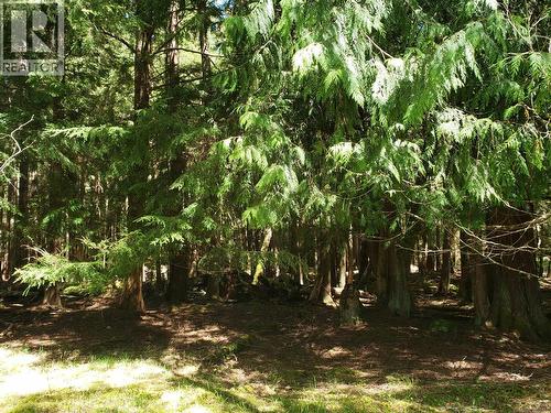 430 Kaleva Rd, Sointula, BC 