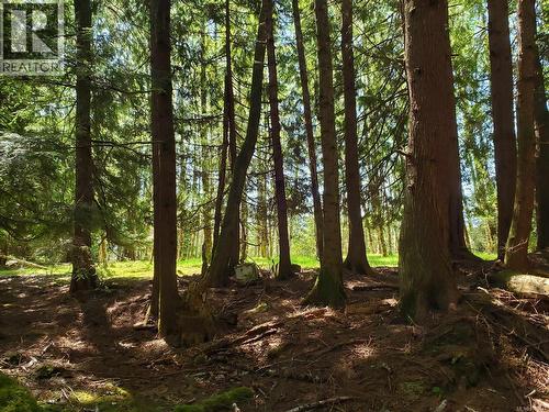 430 Kaleva Rd, Sointula, BC 