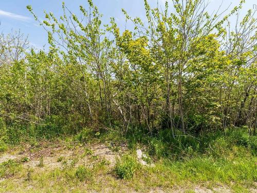 Lot 2 3 Highway, Lower Argyle, NS 