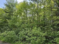 Lot 24-1 East Clifford Road  East Clifford, NS B4V 7R8