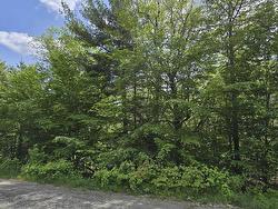 Lot 24-4 East Clifford Road  East Clifford, NS B4V 7R8