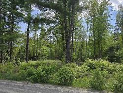 Lot 24-6 East Clifford Road  East Clifford, NS B4V 7R8