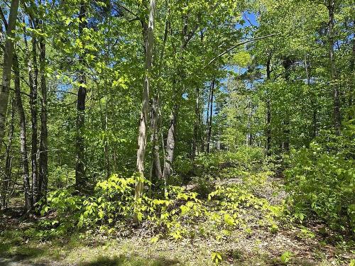 Lot 24-6 East Clifford Road, East Clifford, NS 