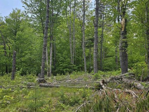 Lot 24-6 East Clifford Road, East Clifford, NS 