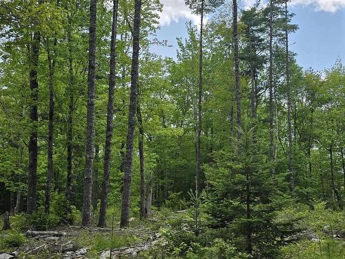 Lot 24-6 East Clifford Road, East Clifford, NS 