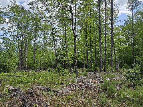 Lot 24-6 East Clifford Road, East Clifford, NS 