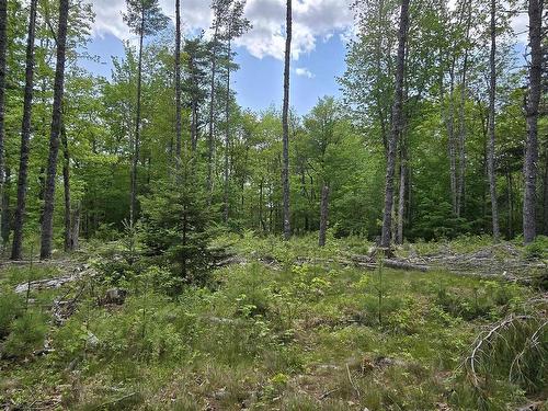 Lot 24-6 East Clifford Road, East Clifford, NS 