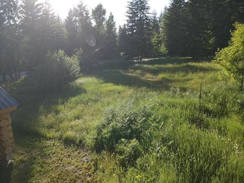 1341 Highway 31A, New Denver, BC 