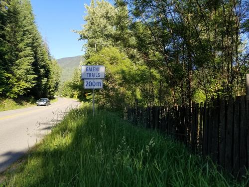 1341 Highway 31A, New Denver, BC 