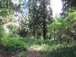 2532 10th Avenue Unit# Parcel A  Castlegar, BC V1N 3A2