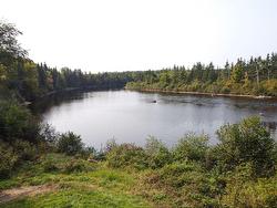 1 Rg St-Pierre  Sainte-Christine-D'Auvergne, QC G0A 1A0