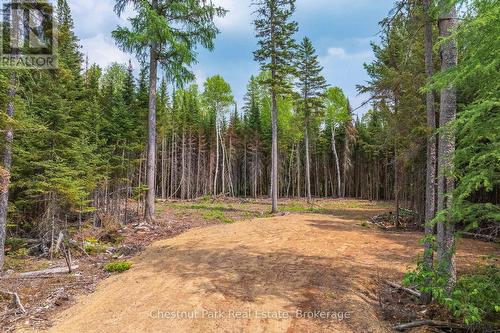 0 Stoneway Road, Kearney, ON 