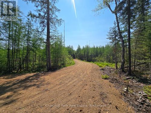 0 Stoneway Road, Kearney, ON 