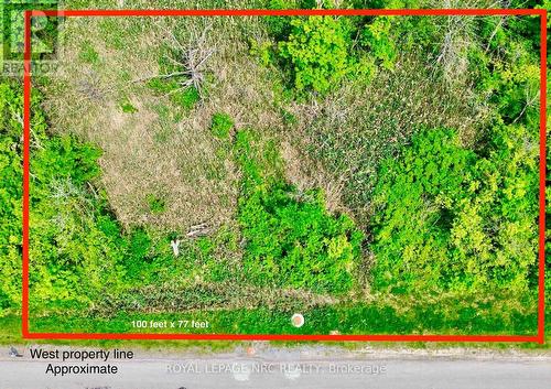 100 feet Frontage - 26 Shaw Street, Welland (Broadway), ON 