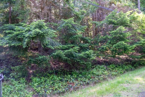 4849 Pirates Rd, Pender Island, BC 