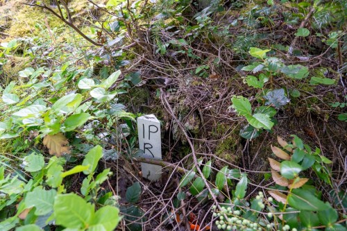 4849 Pirates Rd, Pender Island, BC 