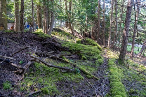 4849 Pirates Rd, Pender Island, BC 