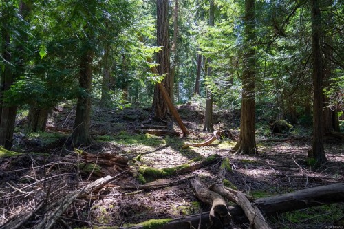 4849 Pirates Rd, Pender Island, BC 